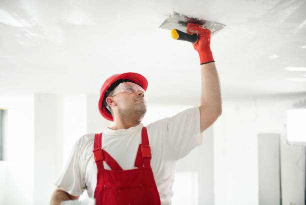 Best Drywall Removal and Disposal  in Vinita Park, MO